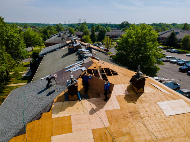 Best Storm Damage Roof Repair  in Caledonia, MS