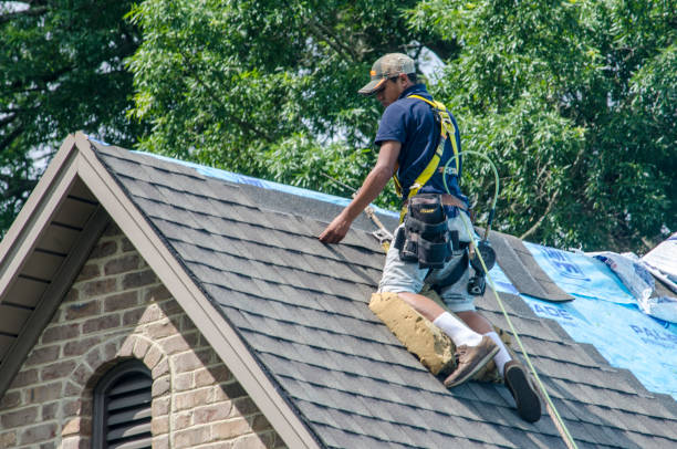 Best Metal Roofing Contractor  in Caledonia, MS